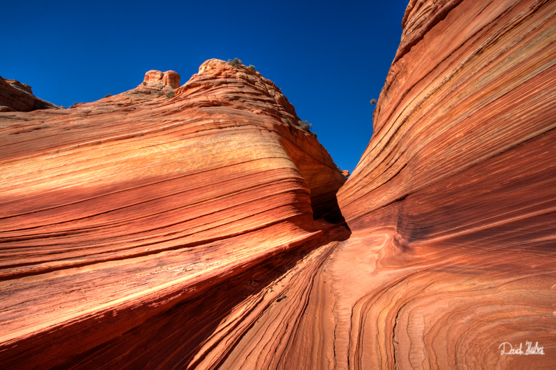 The Wave, USA 2010